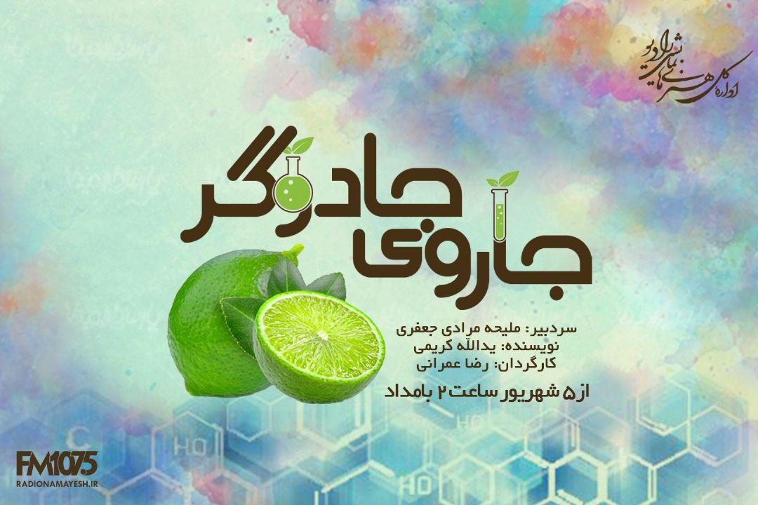 جاروی جادوگر