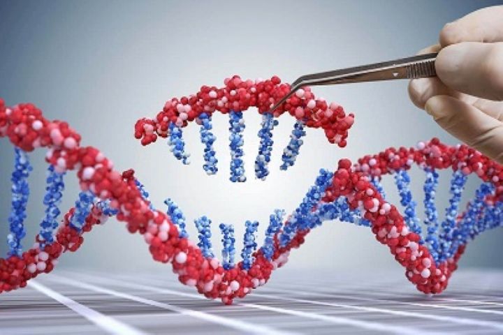 شناسایی 21 ژن چاقی و آلزایمر در میانسالی