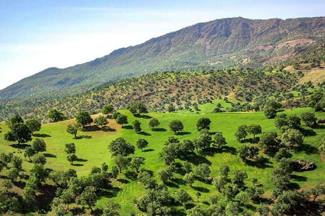 پلاك ثبتی و مشكل تصرف منابع طبیعی