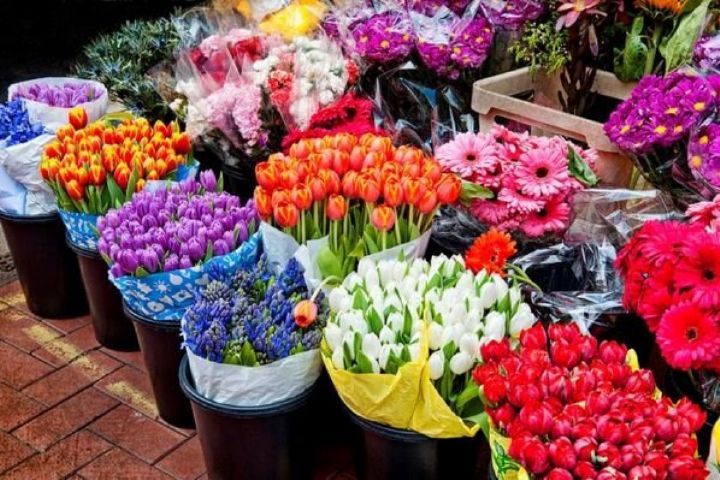 میزان صادرات گل های زینتی و مشكلات تولیدكننده گل های زینتی