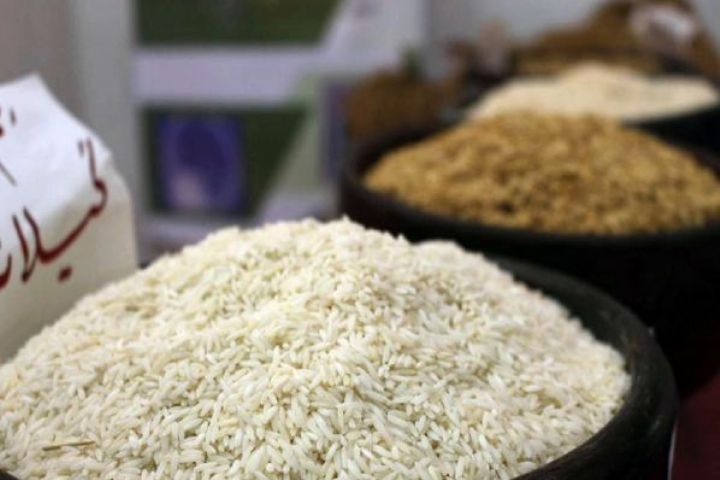 عرضه مستقیم برنج به فروشگاه ها، كمك به اقتصاد كشاورز و قطع دست واسطه هاست.