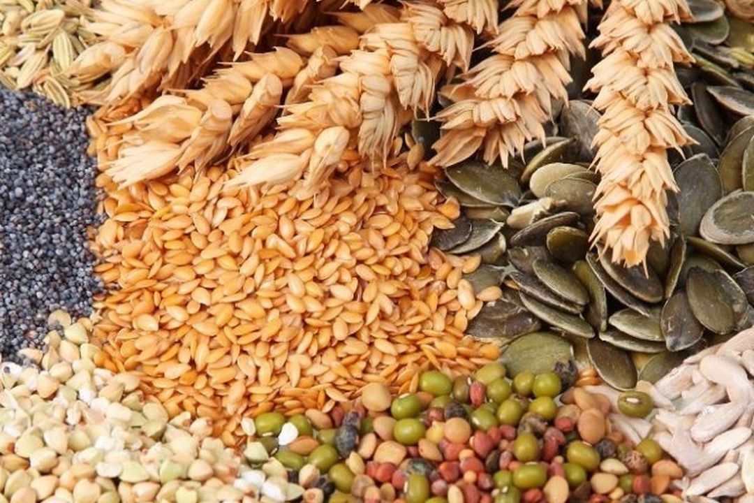 با امنیت آبی پایدار، امنیت غذایی خواهیم داشت.