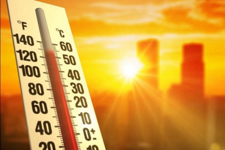 پیامدهای بلندمدت گرمای شدید برای سلامت بدن
