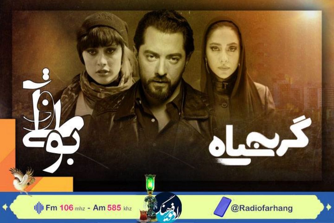 نگاهی به فیلمنامه ی فیلم «گربه سیاه»  در رادیو فرهنگ