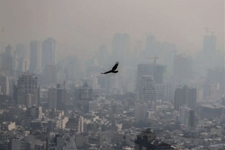 بررسی خسارت های آلودگی هوا در "مرورگر 1332" 
