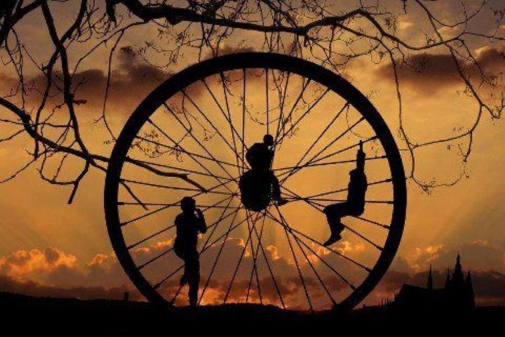 چرخش با چرخ فلك "تهران در شب" 