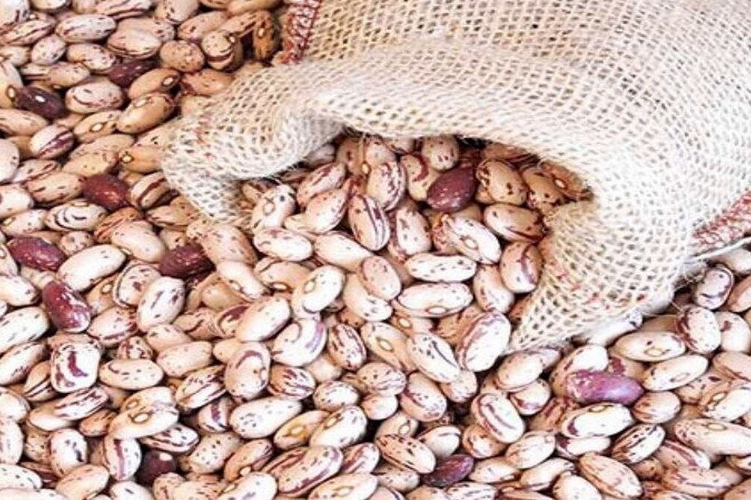 سخنگوی اتحادیه بنكداران مواد غذایی تهران : لوبیا چیتی باید كیلویی 200 هزار تومان به دست مصرف كننده برسد