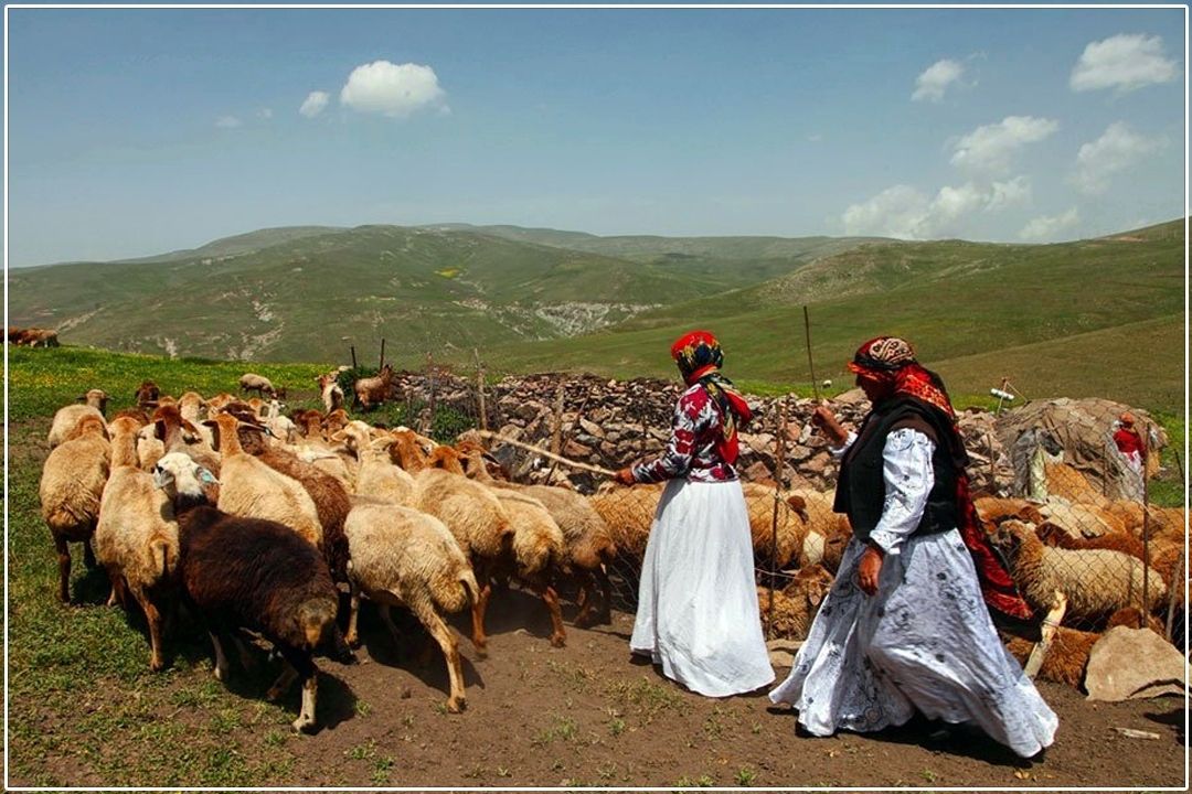 عشایر تهران تا پایان‌ خرداد به لار می‌رسند