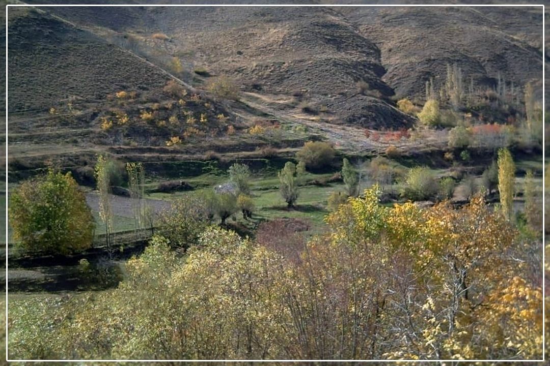 پوشش‌گیاهی "هَویرِ دماوند"، مستعد آتش‌سوزی است