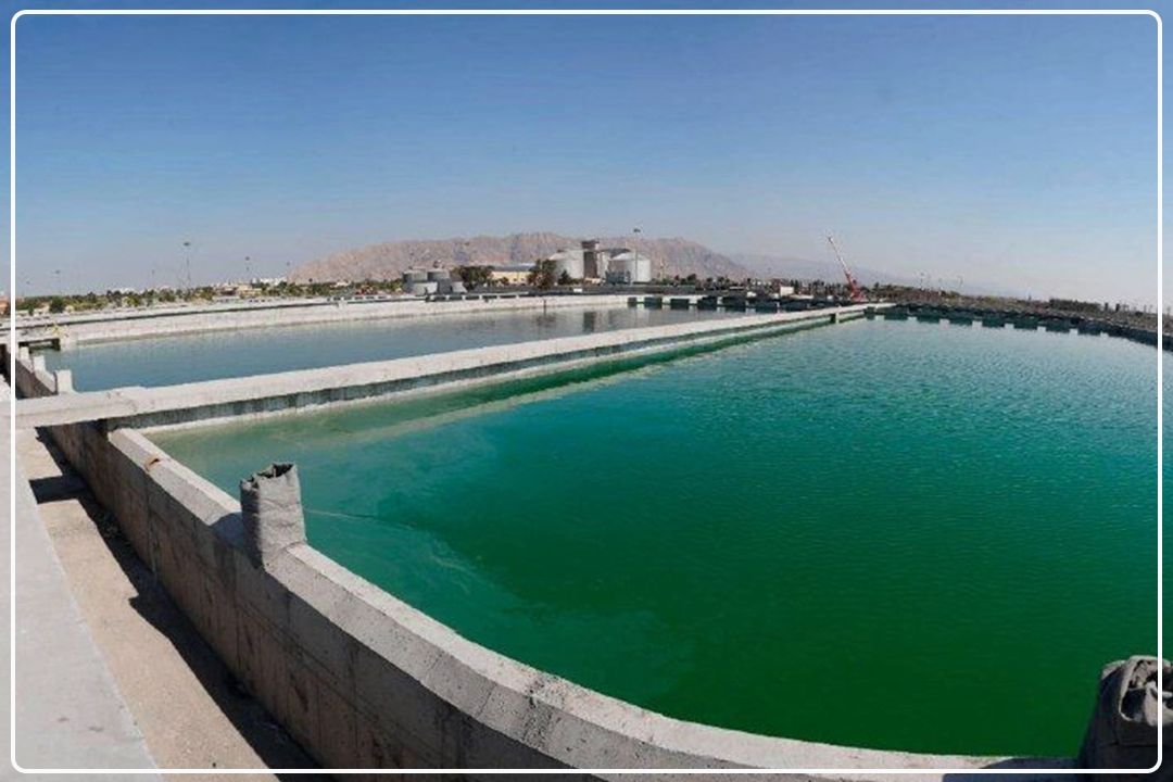 پساب تصفیه‌شده، فضای‌سبز تهران را سیراب می‌كند