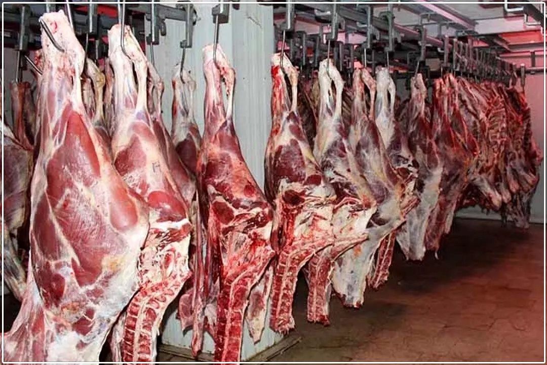 توقف واردات، گوشت را گران كرد