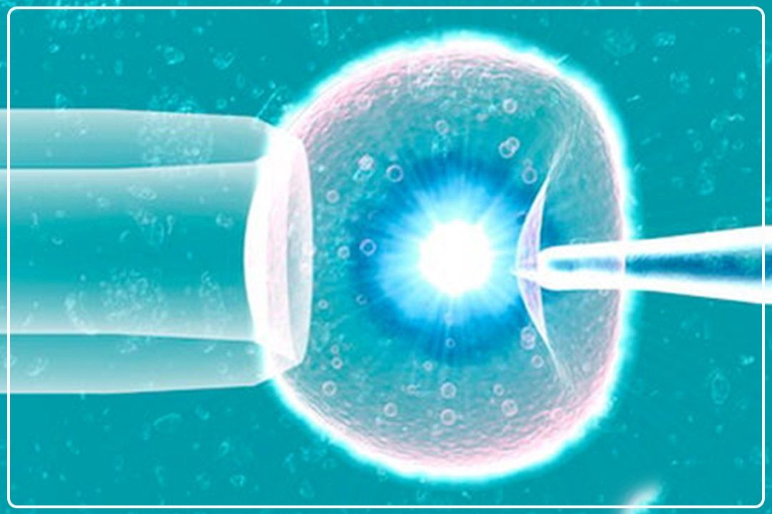 آی وی اف برای كسانی كه مشكل ناباروری ندارند، بی‌عارضه نیست