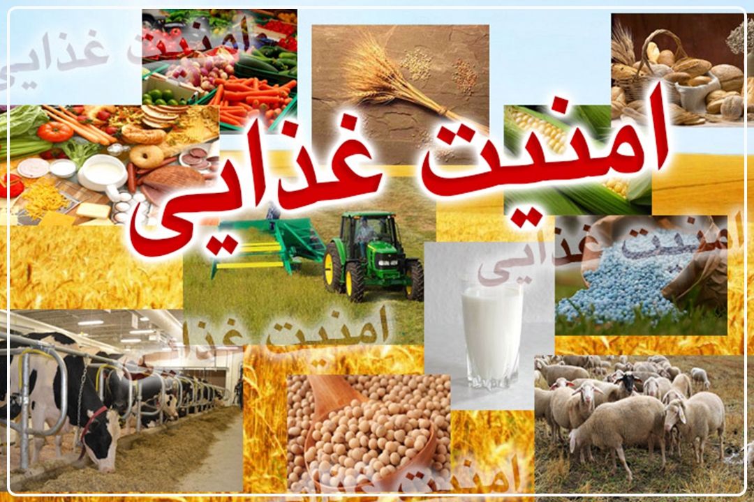 امنیت غذایی در تیررس شبكه نفوذ / دولتی‌ها هشیار باشند!