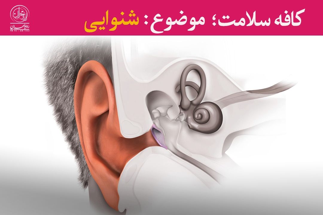 زنگ خطر صداهای بلند؛ وقتی زندگی در معرض ناشنوایی قرار می‌گیرد