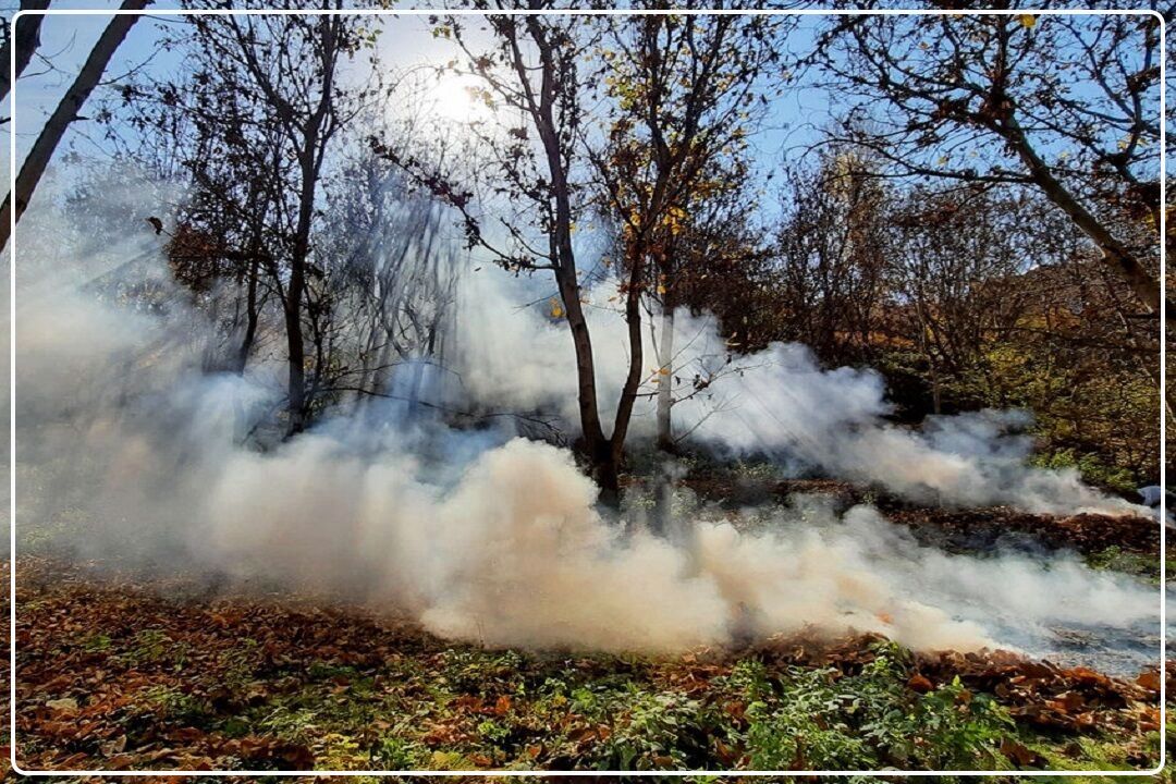 درختان میوه، قربانیِ آتش‌سوزی در روستای نجفدر فیروزكوه