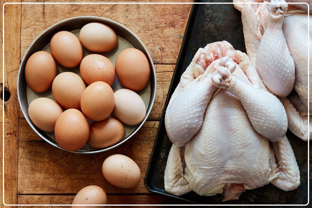ضعف در نظام توزیع، مانع ثبات قیمت‌ مرغ و تخم مرغ است+فایل صوتی