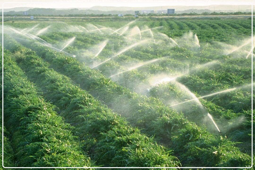  خیز بلند شهریار برای مقابله با كم‌آبی و حفظ باغات و اراضی كشاورزی