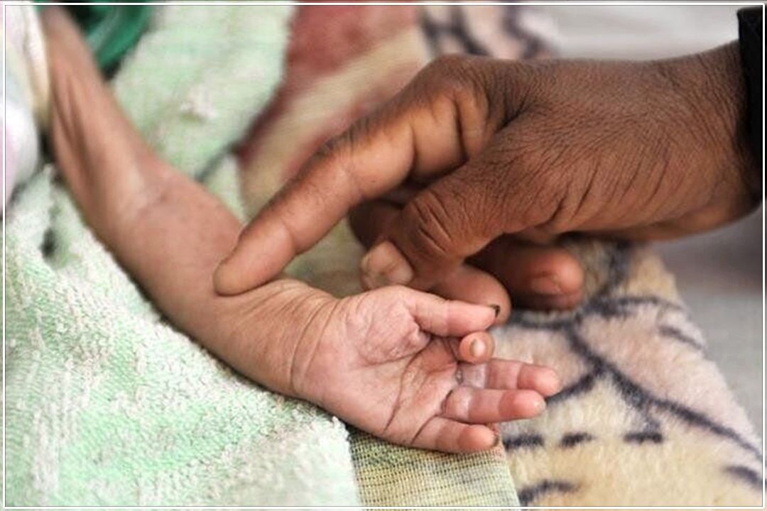 آغاز پرداخت سبد كالای رفع سوءتغذیه به 260 هزار كودك از ابتدای آذر