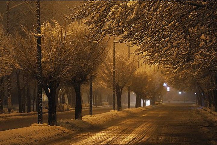 خاطرات برف بازی در "تهران در شب" 