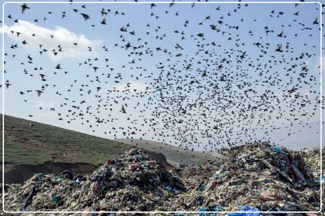 خط‌ و نشان شهردار كهریزك برای پیمانكاران متخلف آرادكوه/ ورود دادستان به معضل شیرابه‌های مرگبار