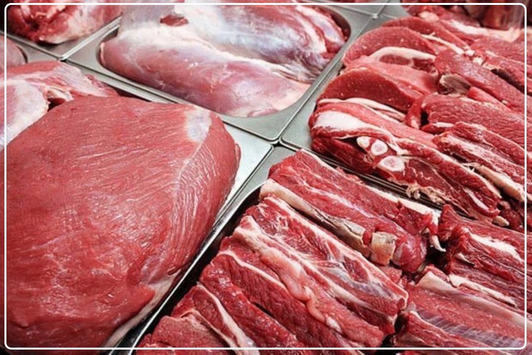افزایش عرضه و ثبات نسبی بازار گوشت در پاییز  