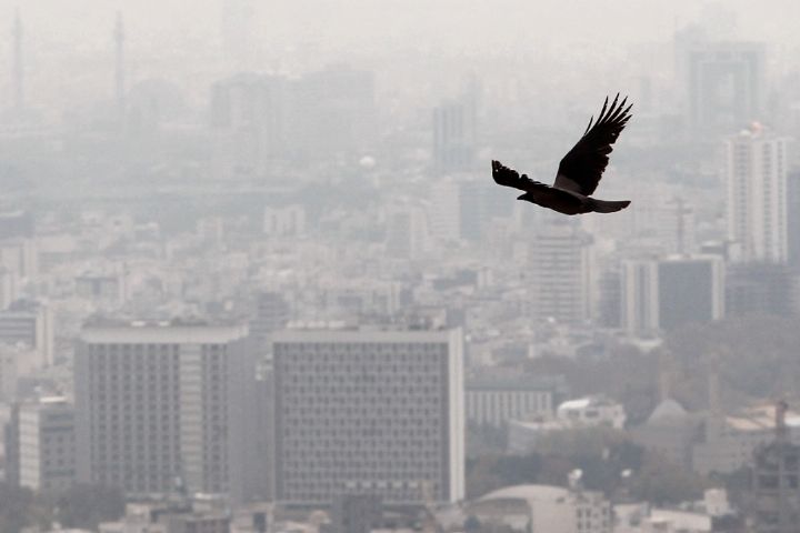 «پشت پلك صبح» بررسی می كند: راهكارهای كاهش آلودگی هوا