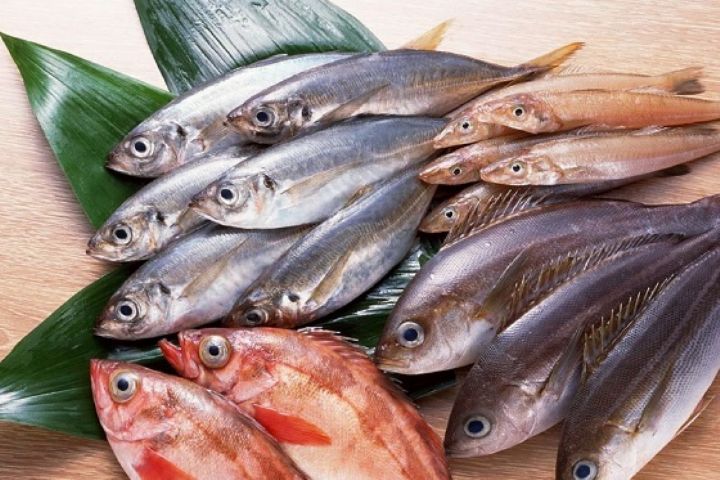 نكات مهم برای خرید ماهی در "ساده مثل سلامت "