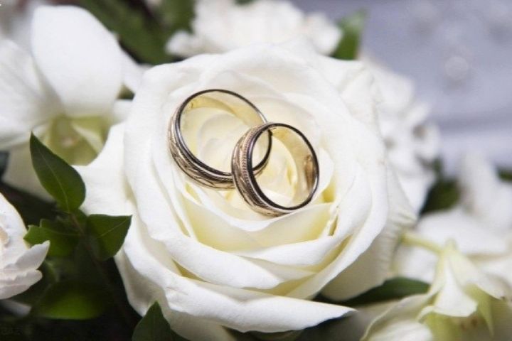  خجالتی بودن همسران روی خط «حلقه گمشده»