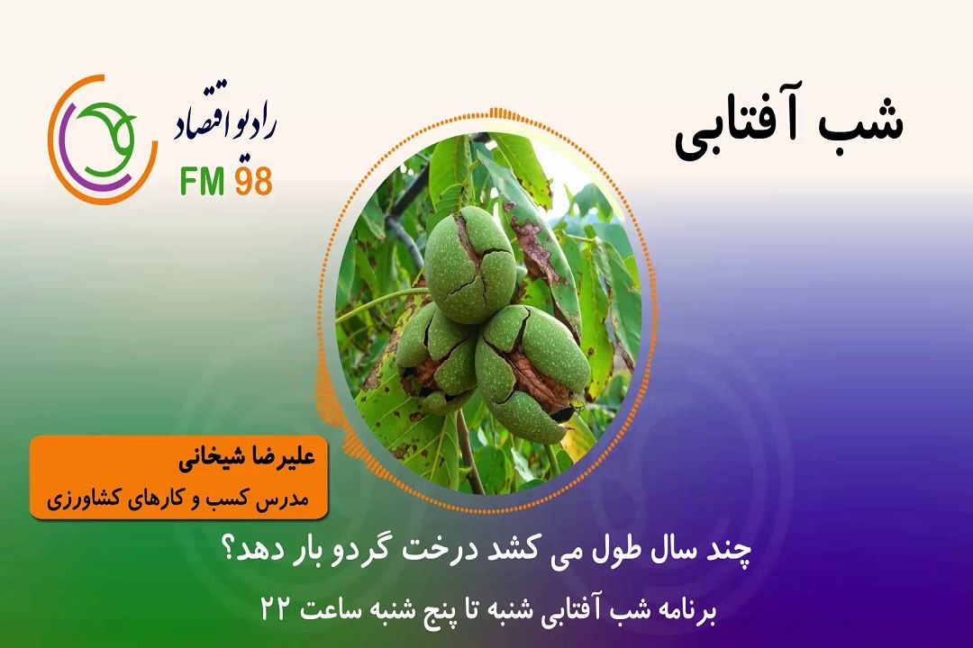 چند سال طول می كشد درخت گردو بار دهد؟