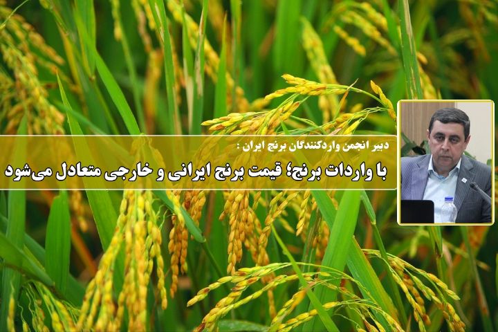 گرانی برنج؛ به دلیل ممنوعیت واردات برنج خارجی است/ جهاد كشاورزی باید پاسخگوی گرانی برنج باشد+فایل صوتی