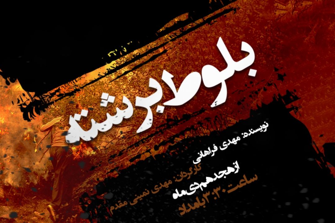 بلوط برشته