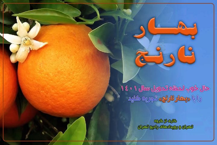 انتخاب برترین برنامه سال رادیو تهران در نظرسنجی مردمی «بهار نارنج» عیدانه رادیو تهران