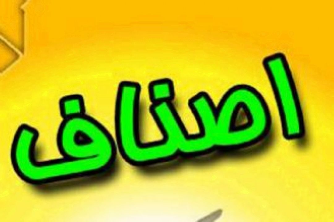 نگاهی به فعالیت اتاق اصناف در استان البرز
