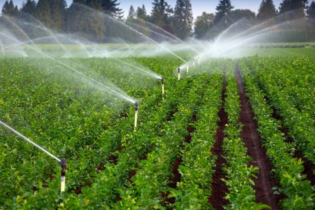 اجرای روش های نوین آبیاری در استان چهارمحال و بختیاری