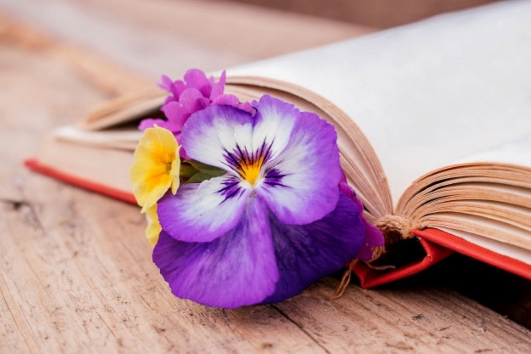 برگزاری همایش «كاركردهای اجتماعی و تربیتی ادبیات عاشقانه»در فرهنگسرای خانواده