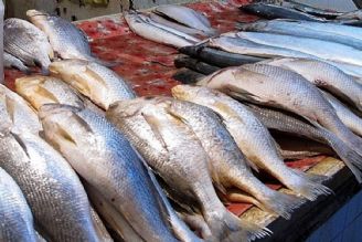 قیمت ماهی قزل آلا 65 هزار تومان است 