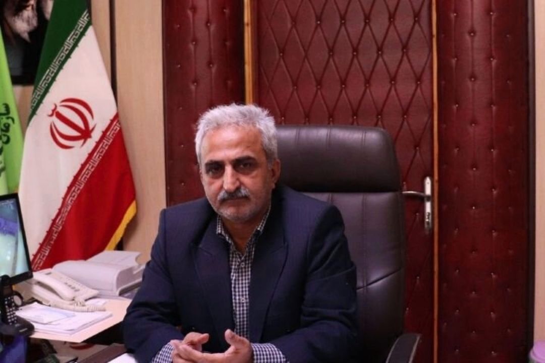پرداخت 70 درصد بهای برگ سبز چای به چایكاران / توان تولید 50 هزار تن چای در ایران وجود دارد