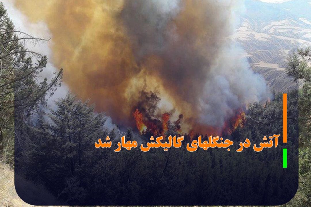 آتش در جنگلهای گالیكش مهار شده