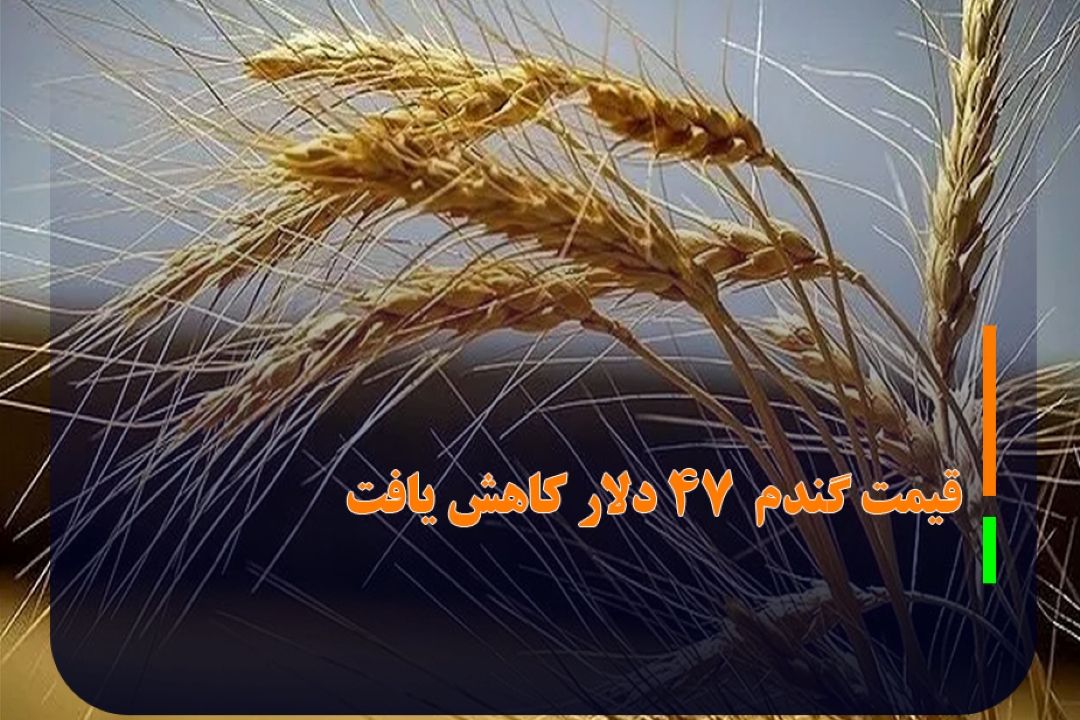 توافق روسیه و اوكراین قیمت جهانی گندم را 47 دلار كاهش داد