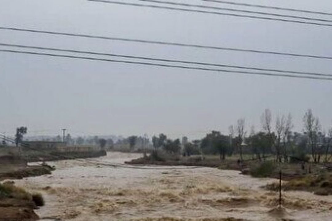 بشیری: سیل استان فارس نیازمند پیگیری جدی از سوی دولت و مجلس است