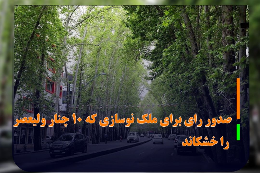 صدور رای برای ملك نوسازی كه 10 چنار ولیعصر را خشكاند