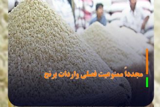 اعمال محدودیت‌ جدید برای واردات برنج