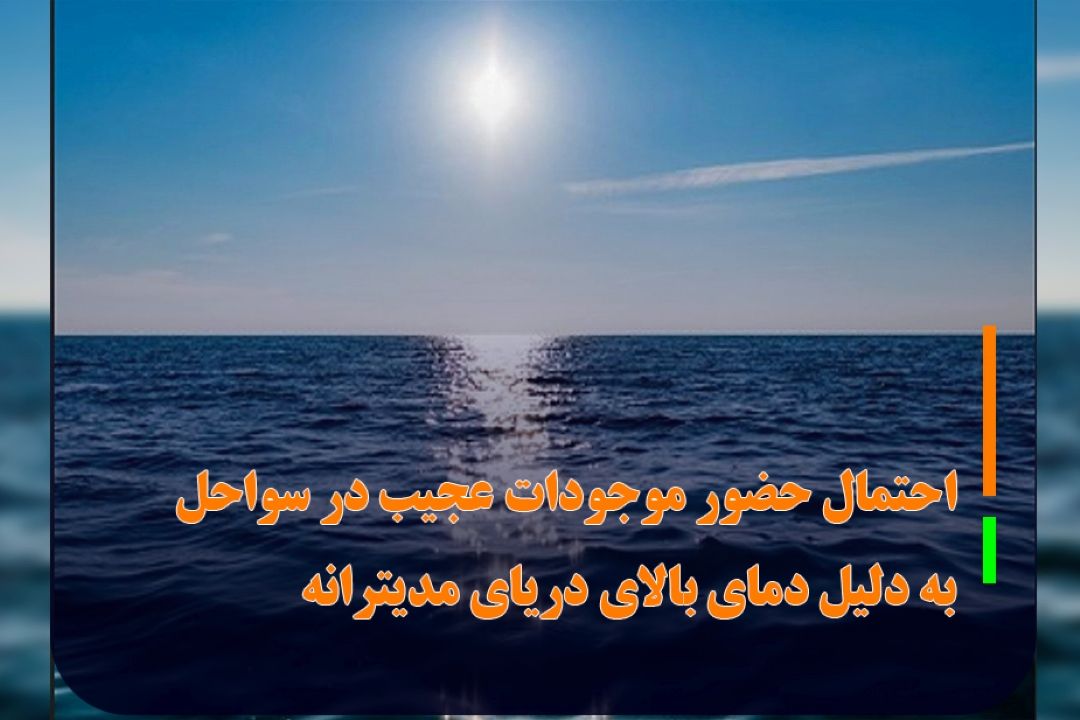 هشدار محققان نسبت به احتمال حضور موجودات عجیب در سواحل دریا