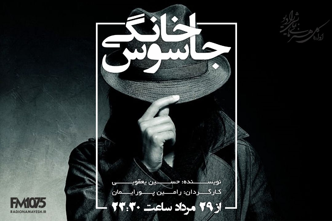 جاسوس خانگی