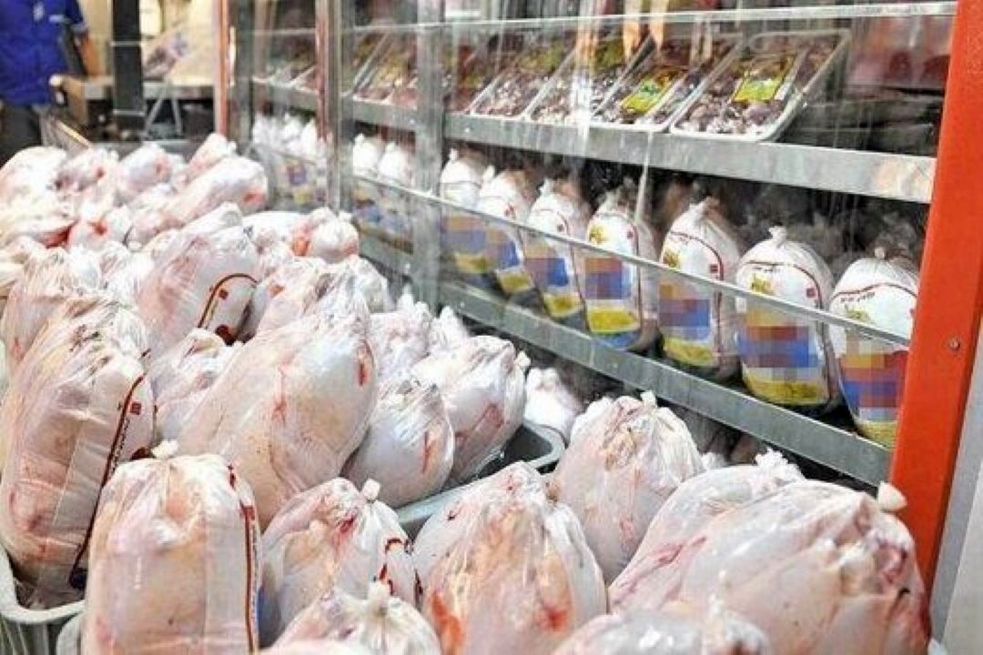 بررسی علل افزایش قیمت مرغ