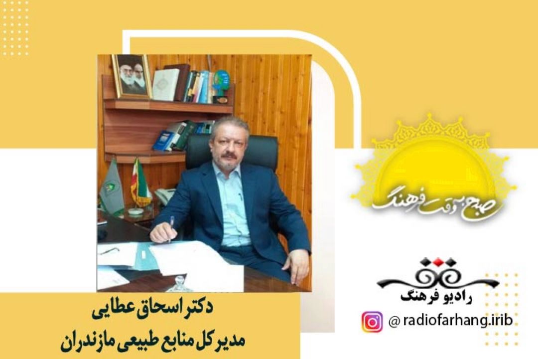درباره افزایش قاچاق چوب