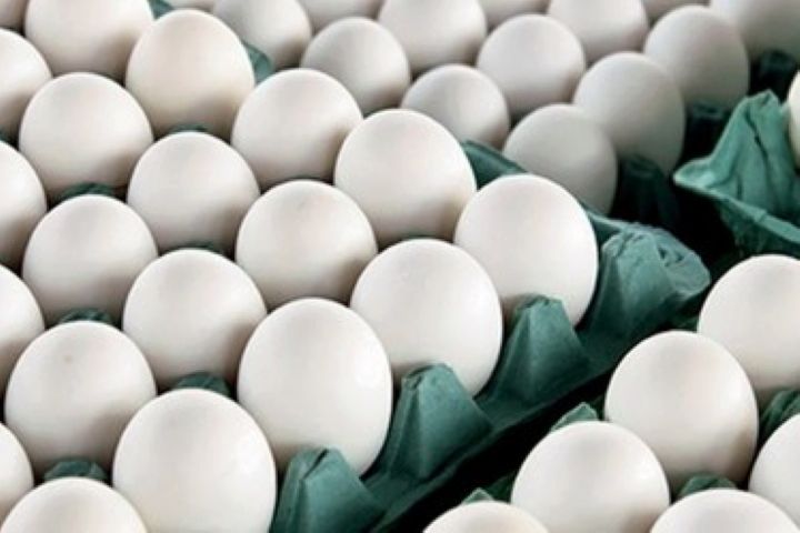  9.5 درصد از تخم مرغ كشور در آذربایجان شرقی تولید می شود