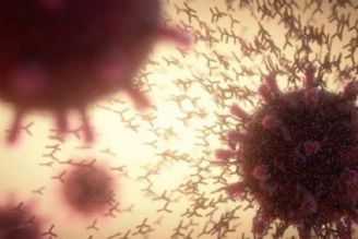 Study Reveals Immune Characteristics of Long-COVID