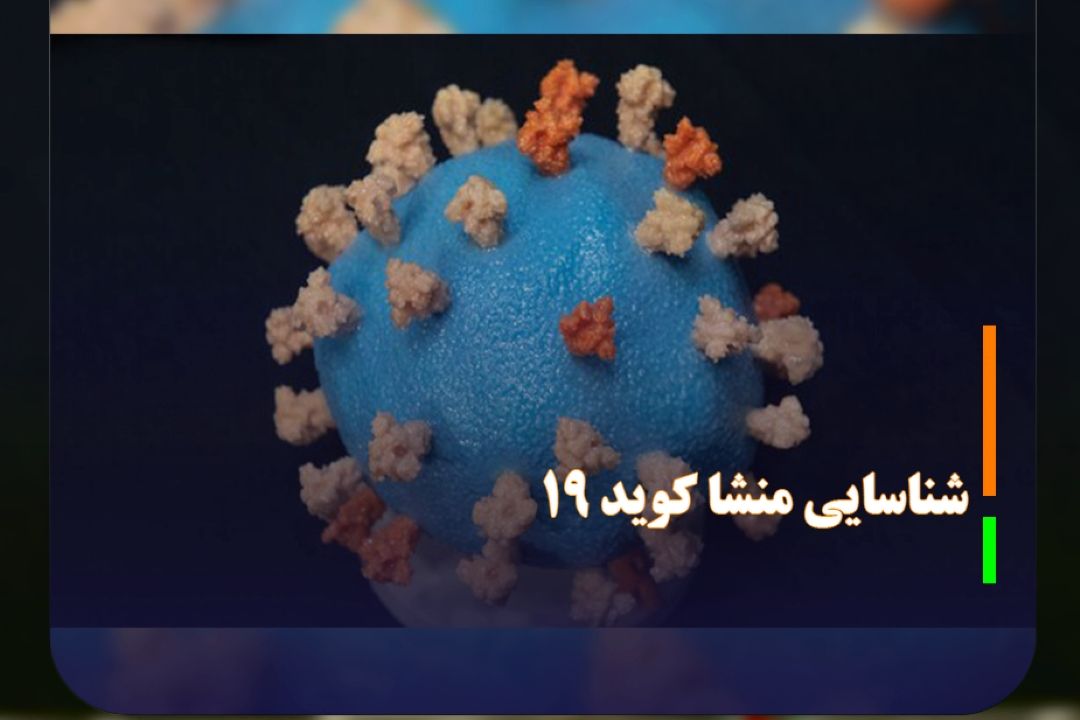 ادعای یك مطالعه جدید درخصوص شناسایی منشا كووید-19