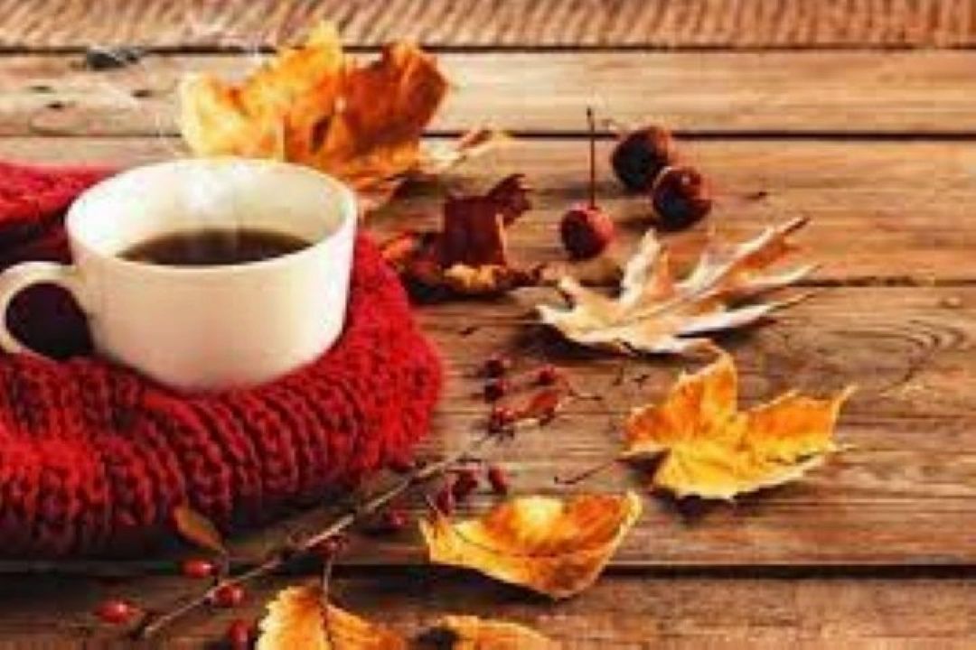 صبحی دل انگیز با «دفتر پاییز»